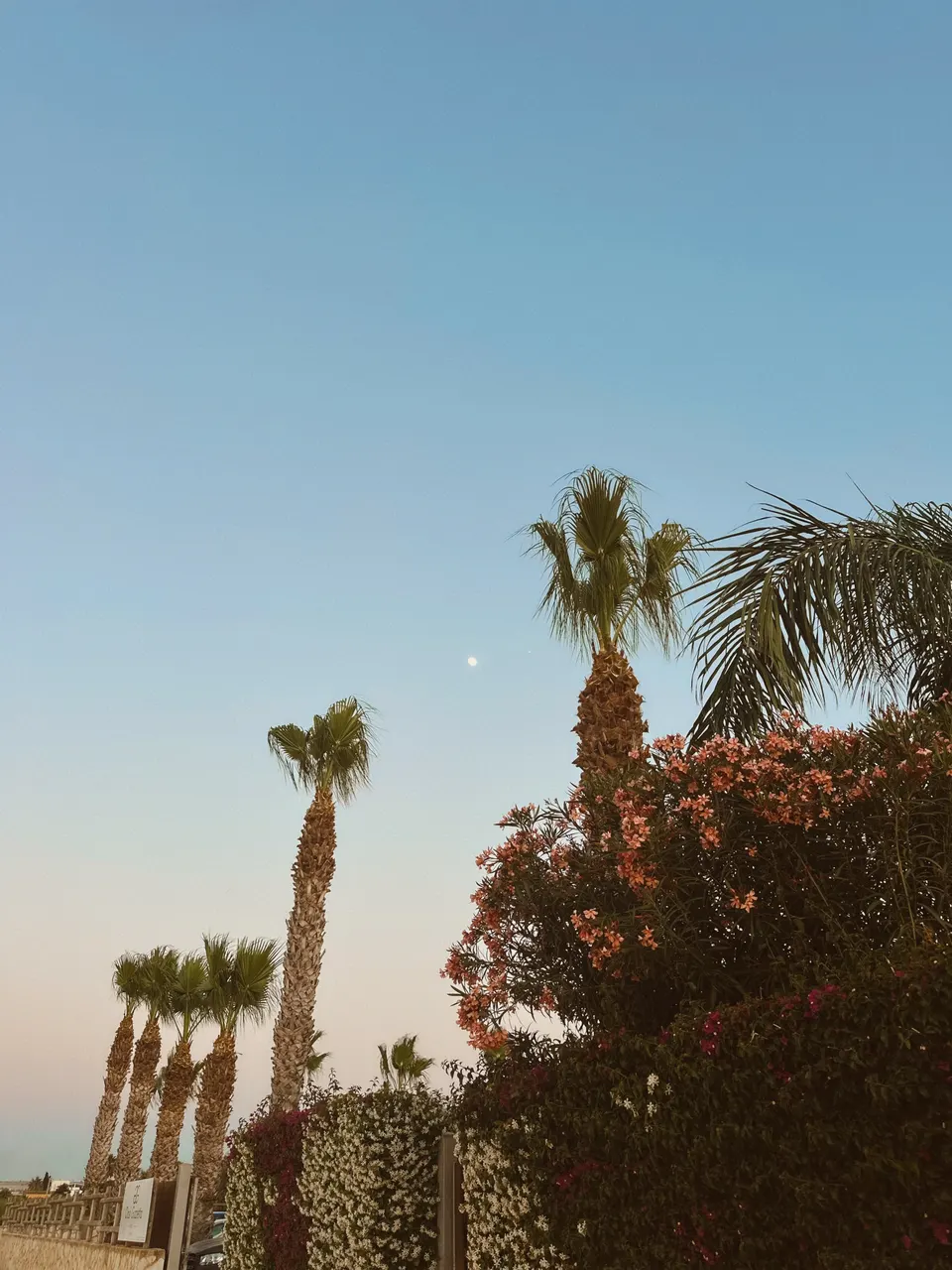 Sicily — Island Life