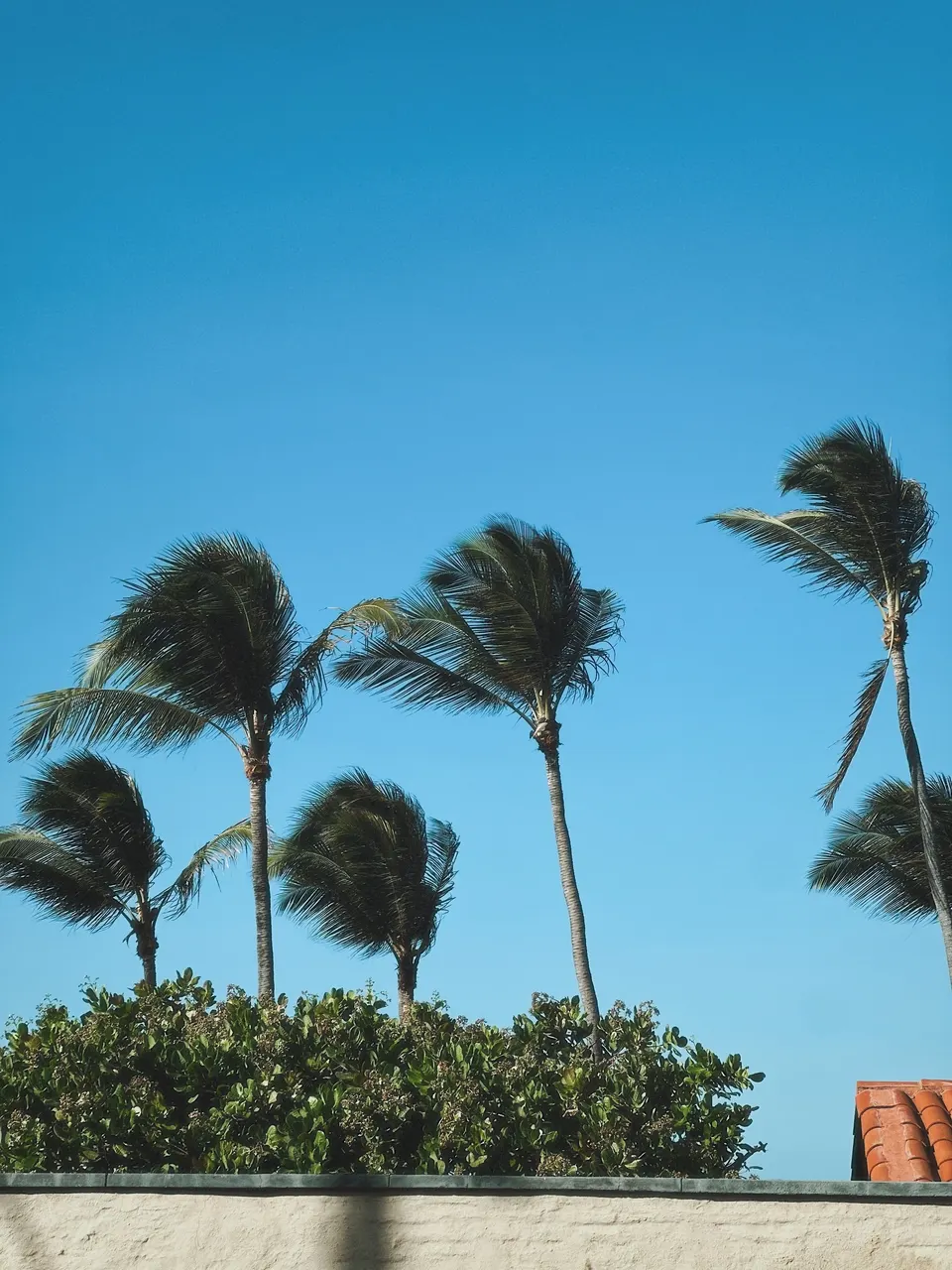 Taiba, Brazil